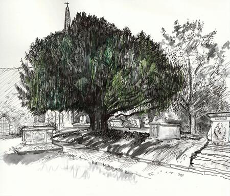 Minster Churchyard The great yew