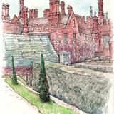 The Great Grape Vine