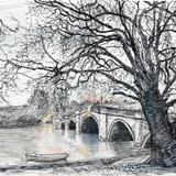 Richmond Bridge flood tide at dawn