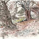 Constable Burton trees