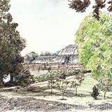 Palm House Kew