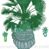 In the Privy Gardens