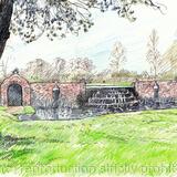 Bushy Park Water Garden