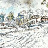 Platts Eyot after the fire