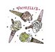 Morelli's
