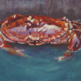 Live crab in a rock pool