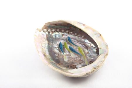 Blue Green Fish in Abalone Shell