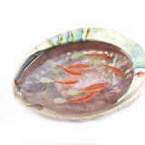 Multi Layer Fish in Abalone Shell