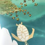 2. Working on the turtles