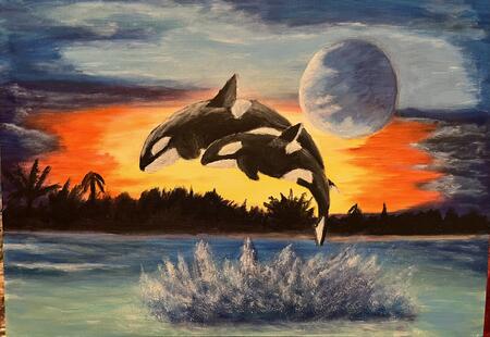 Orcas jumping out the water at night. 