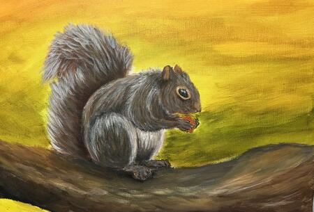 Squirrel on a branch. 