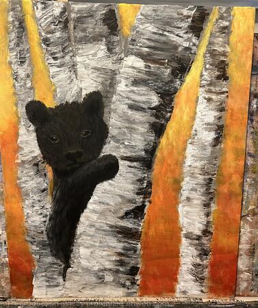 Bear cub on a birch tree