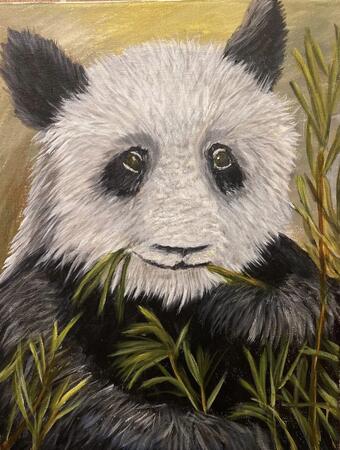 Panda 