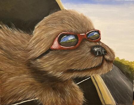 Dog enjoying a car ride 