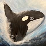 Orca 