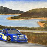 WRC 2003 champion Petter Solberg driving in France