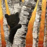 Bear cub on a birch tree