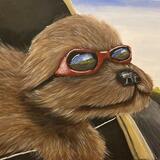 Dog enjoying a car ride 