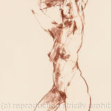 A4 size giclee print FD 1