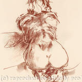 A4 size giclee print  FD 8