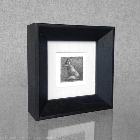 1 x a wee message toatie