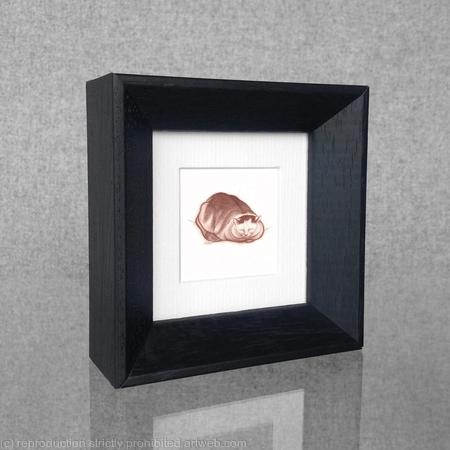 1 x a wee colour hug toatie