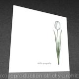 1 x Tulipa sympathia card