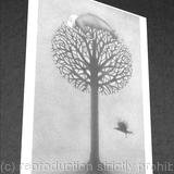 1 x True North greetings  card.