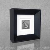 1 x a wee message toatie