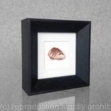 1 x a wee colour hug toatie