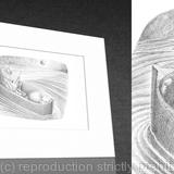 1 x 'O Pussy my love' (mounted & signed print).