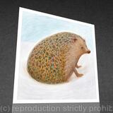1 x Hedgehog greetings card.