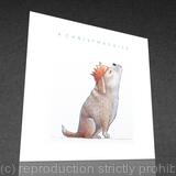 1 x a Christmas kiss card