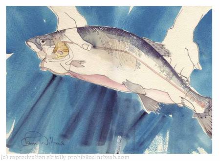 Trout - A Fine Catch