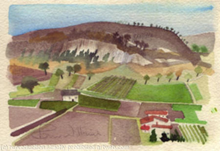 14. Saffron fields, Navelli