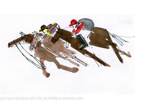 Loose horse - 2nd Race