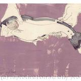 Trout - Todays Catch