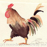 4. Cockerel on the move