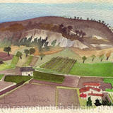 14. Saffron fields, Navelli