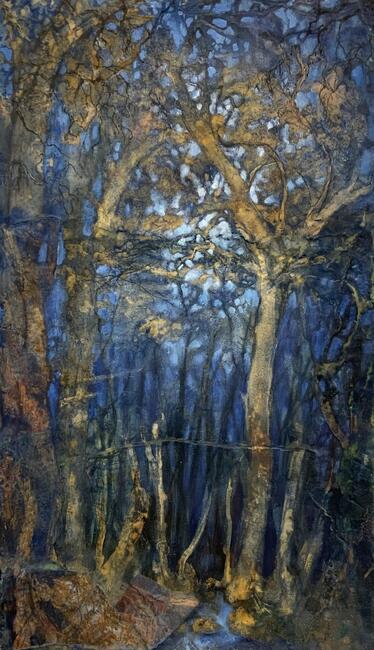 The Forest by night