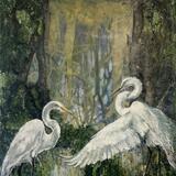 A tale of two Egrets