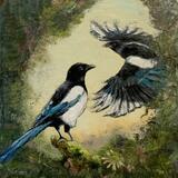 Magpies