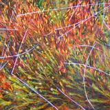 Spring Moss, Winter Grass