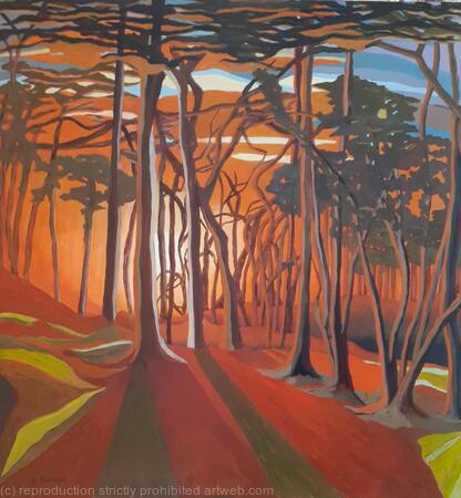 The Forest at sunset