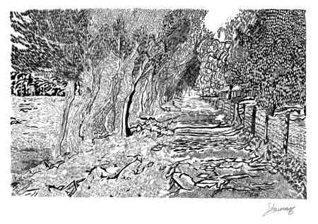 Approach to Bala Lake