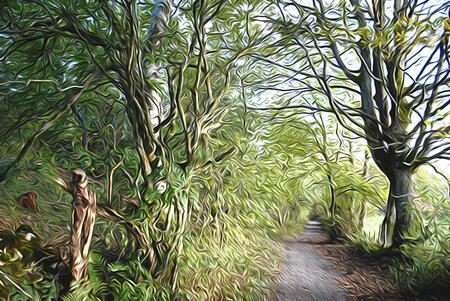 The Old Eryrys Village Road