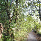 The Old Eryrys Village Road