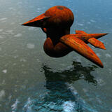 An Early KightsHeadBird-1