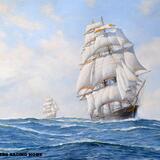 TEA CLIPPERS RACING HOME