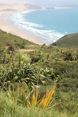 Cape Reinga, N.Island, New Zealand